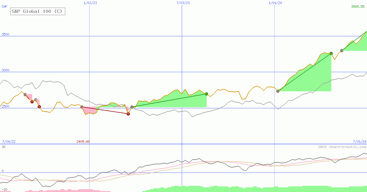S&P Global 100 (C)