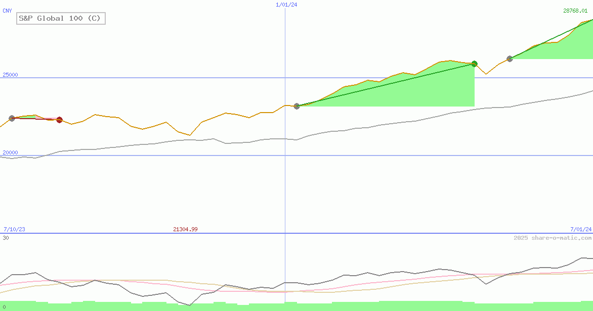 S&P Global 100 (C)