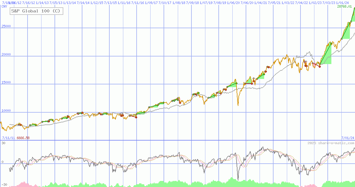 S&P Global 100 (C)