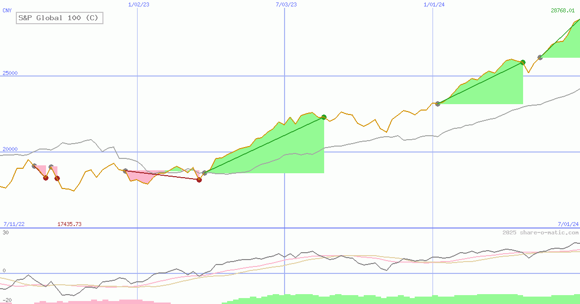 S&P Global 100 (C)