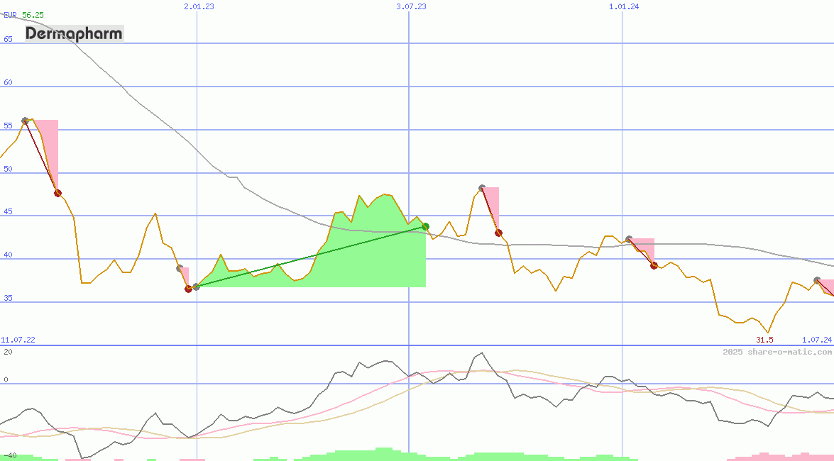 Dermapharm Holding SE