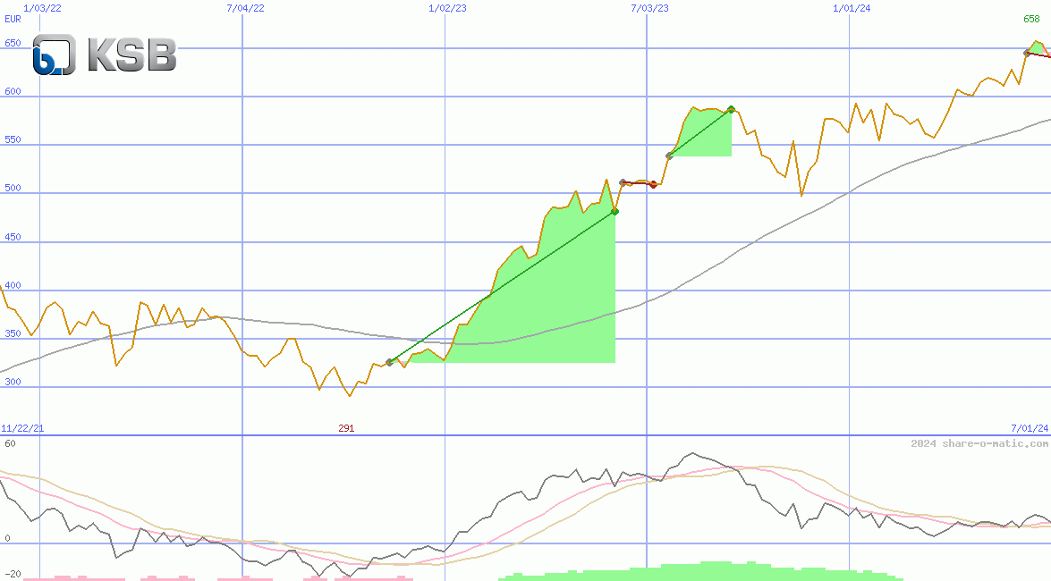 KSB SE & Co. KGaA