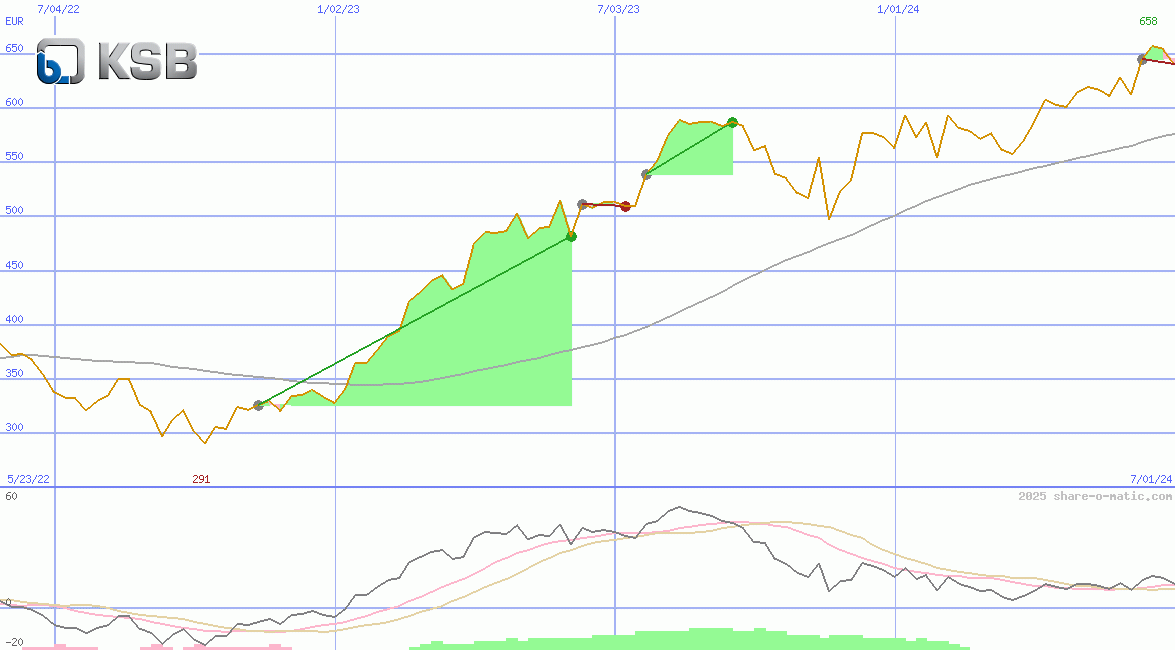 KSB SE & Co. KGaA