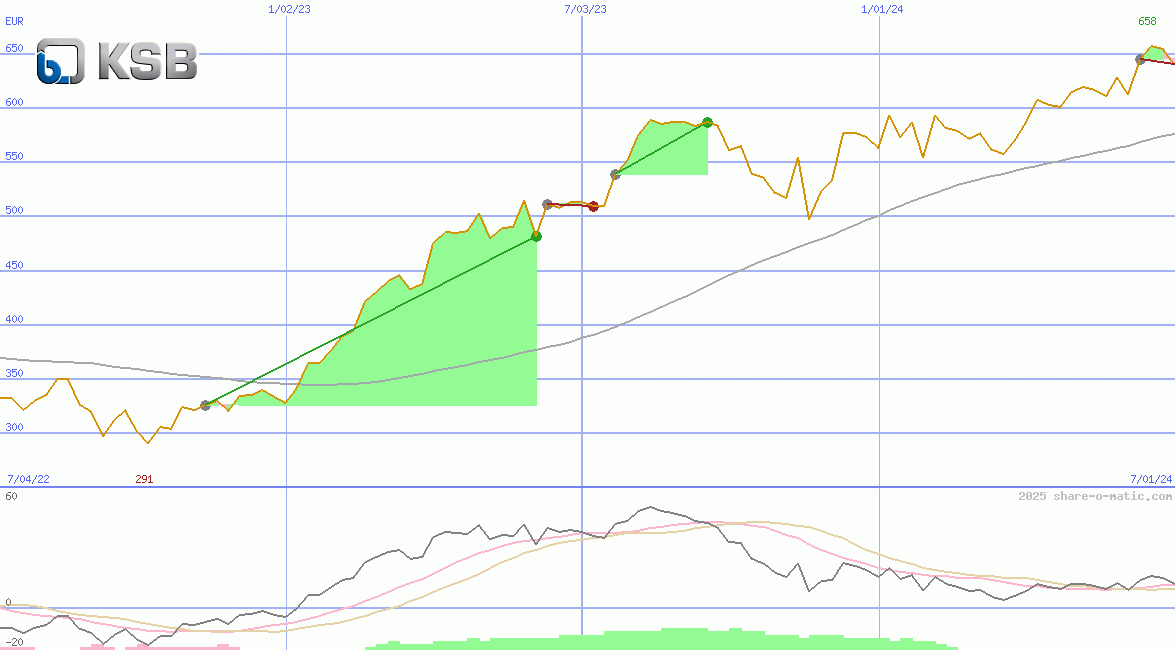 KSB SE & Co. KGaA