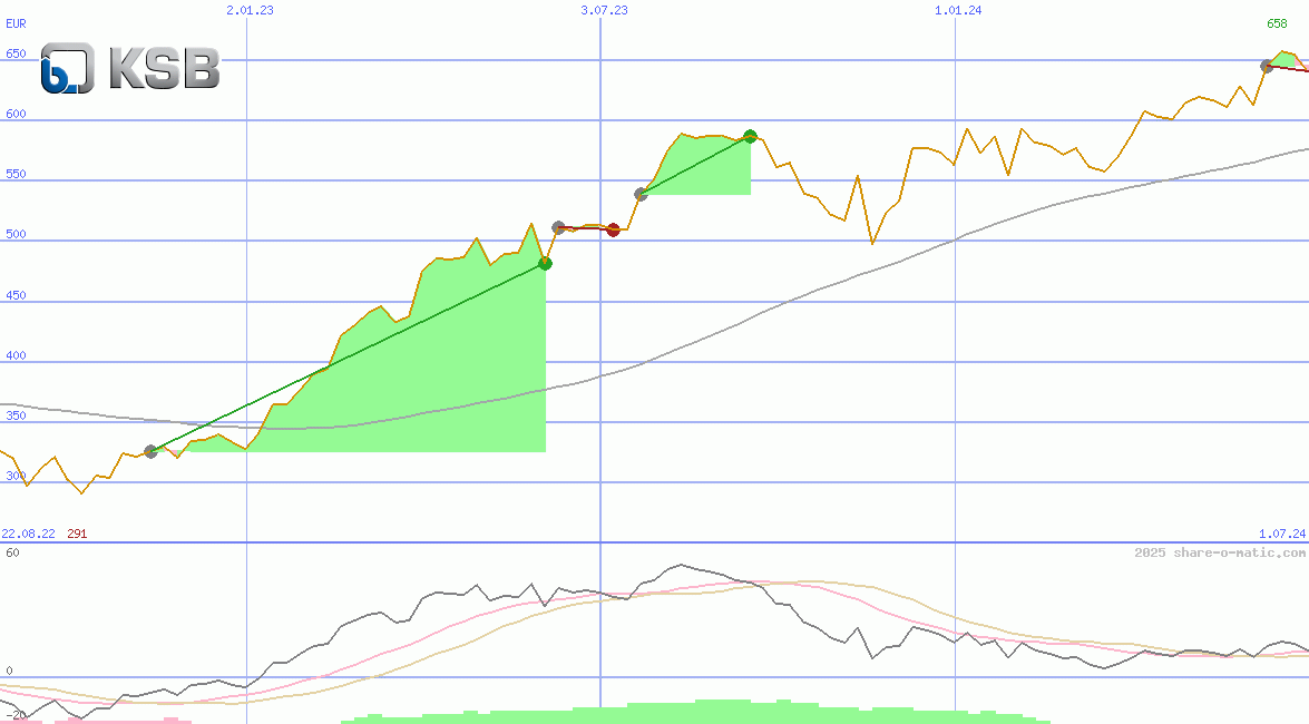 KSB SE & Co. KGaA