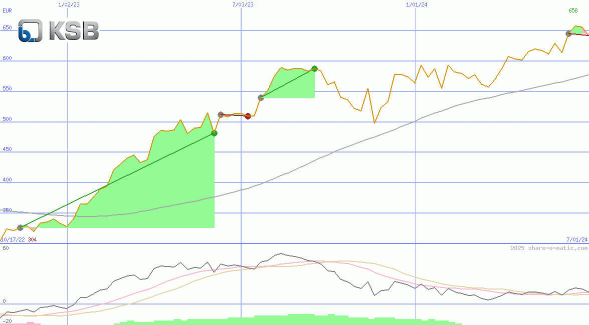 KSB SE & Co. KGaA