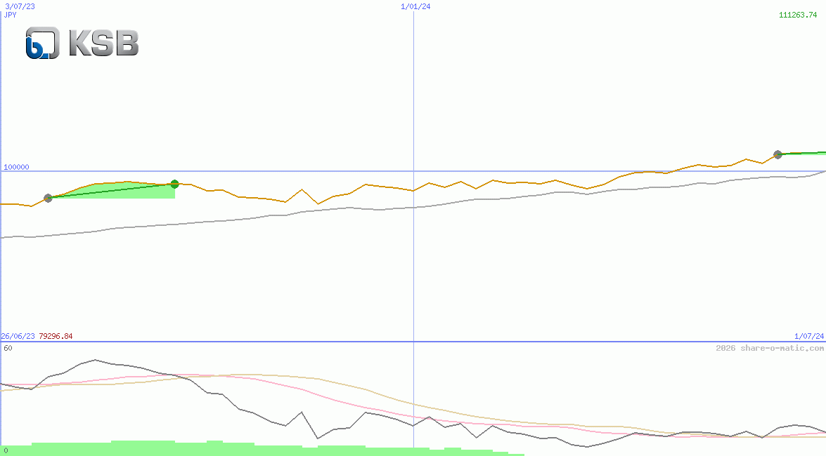 KSB SE & Co. KGaA