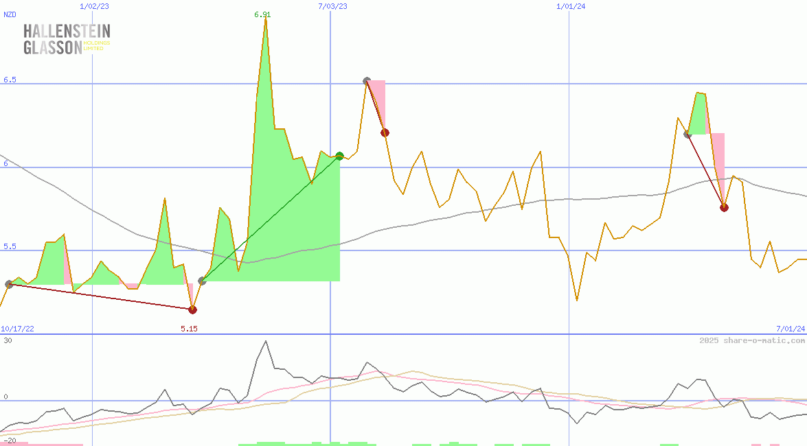 Hallenstein Glasson Holdings Ltd