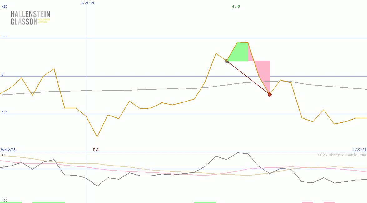 Hallenstein Glasson Holdings Ltd