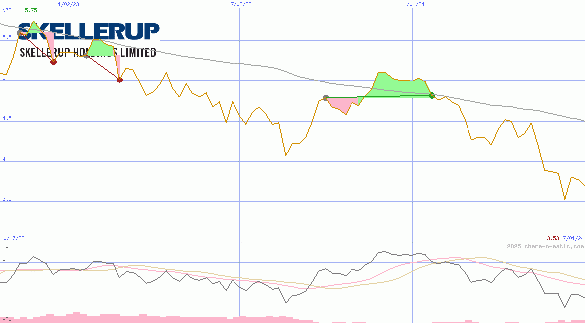 Skellerup Holding Ltd