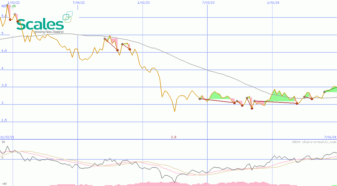 Scales Corporation Ltd