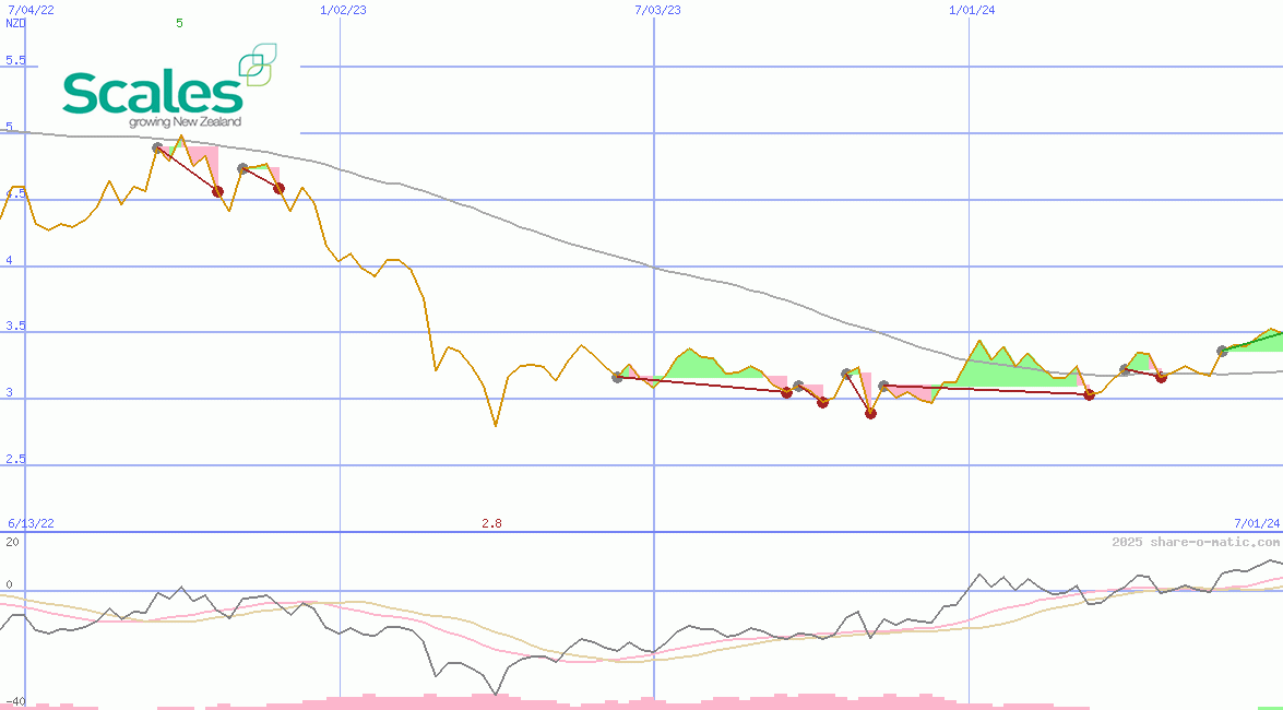 Scales Corporation Ltd