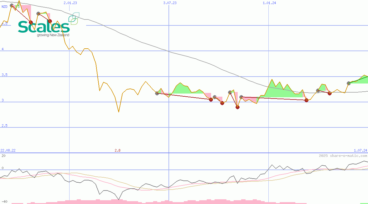 Scales Corporation Ltd