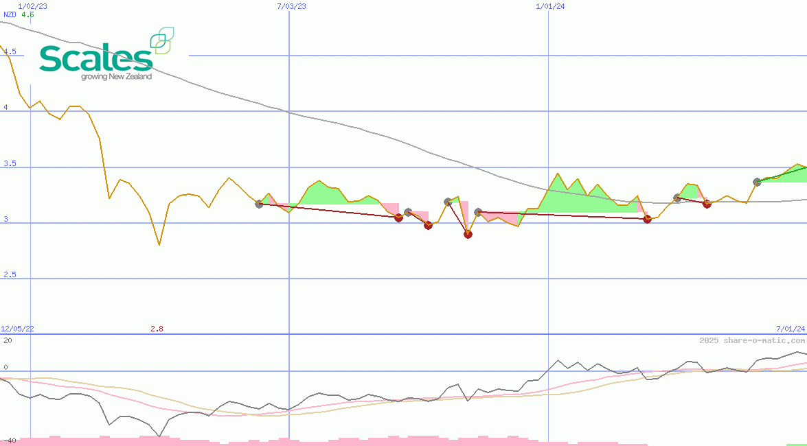 Scales Corporation Ltd
