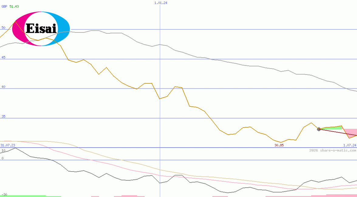 Eisai Co Ltd