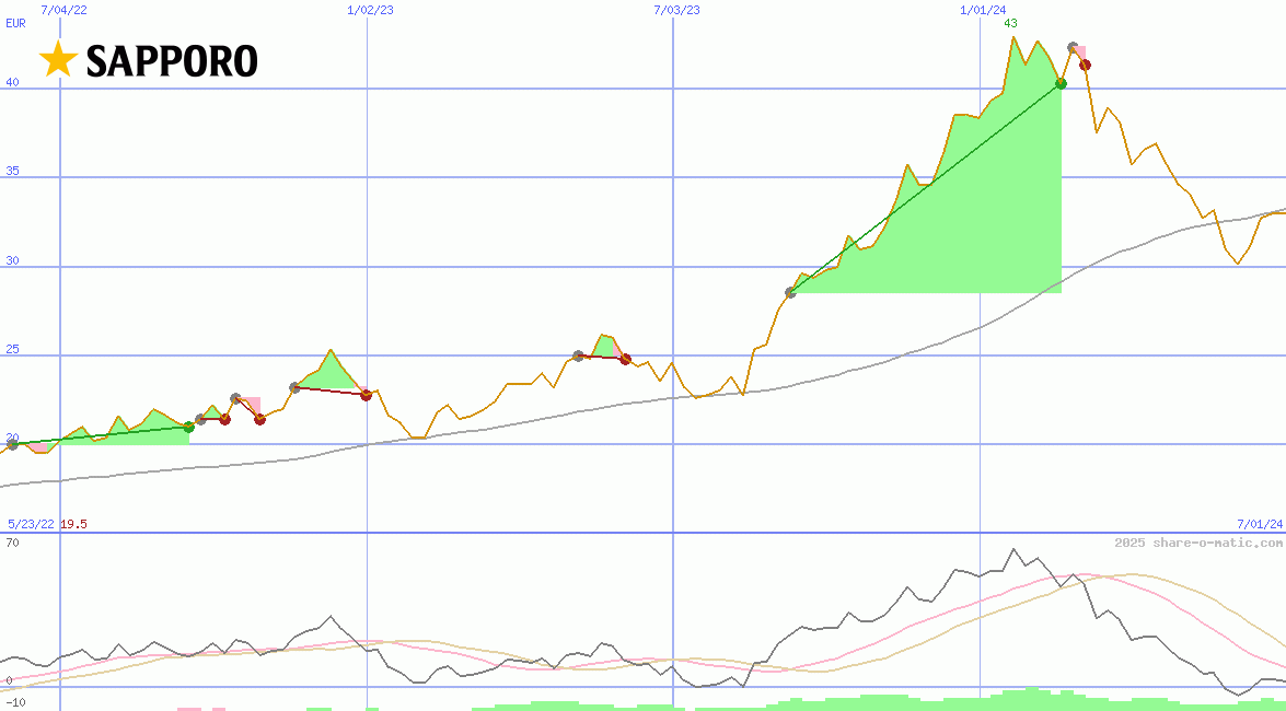 Sapporo Holdings Ltd