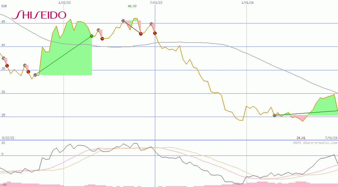 Shiseido Co Ltd