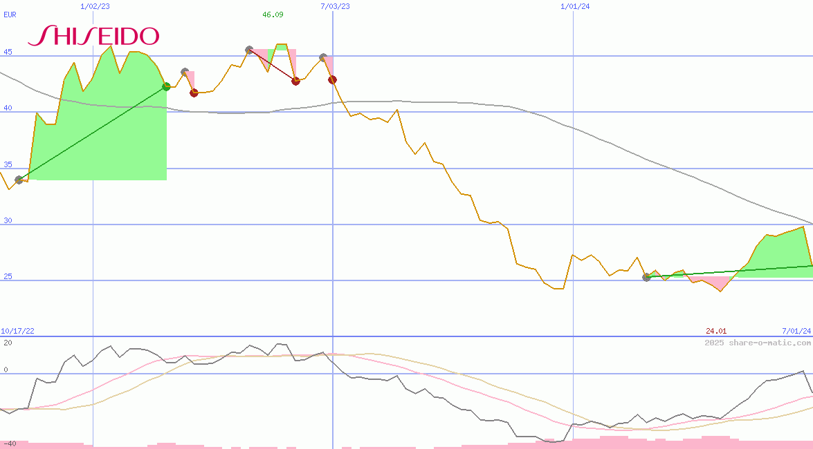 Shiseido Co Ltd