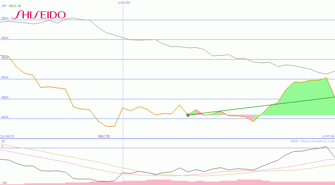 Shiseido Co Ltd