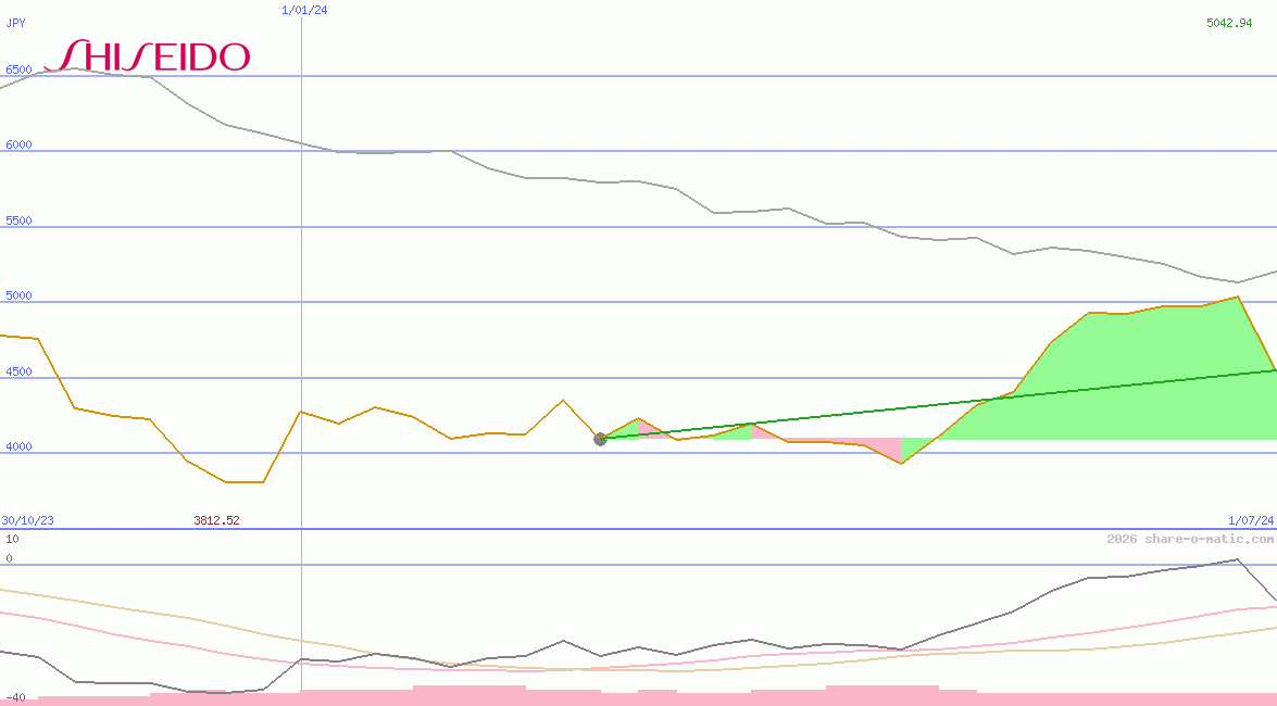 Shiseido Co Ltd