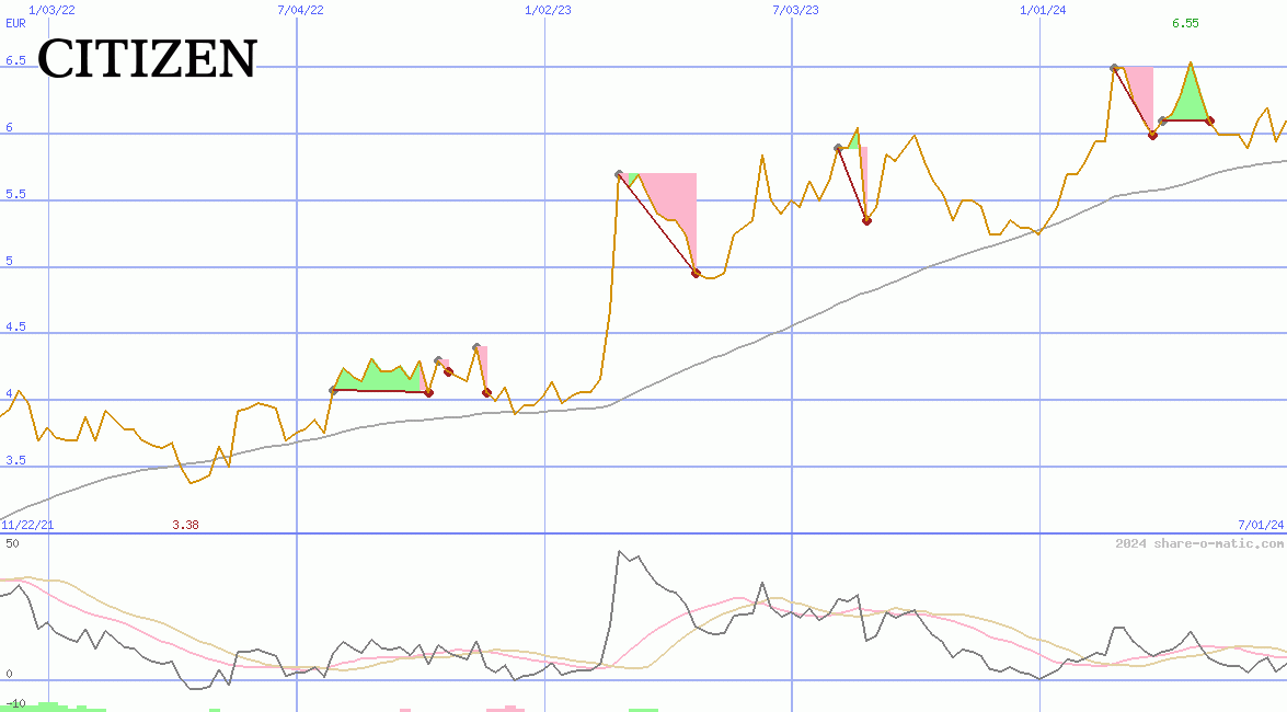 Citizen Holdings Co Ltd