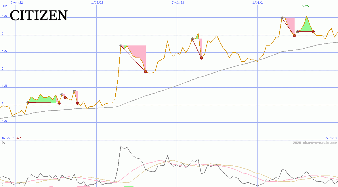 Citizen Holdings Co Ltd