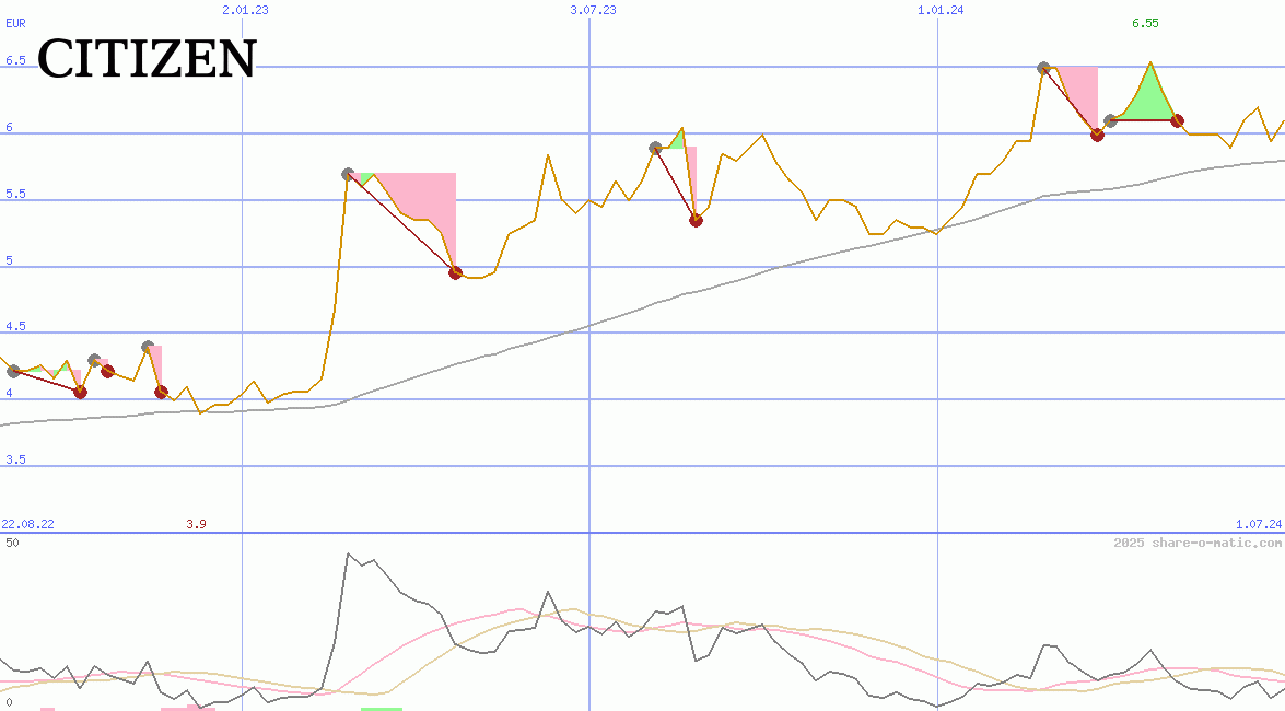 Citizen Holdings Co Ltd