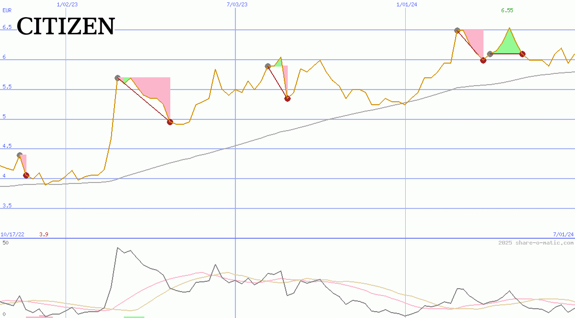Citizen Holdings Co Ltd