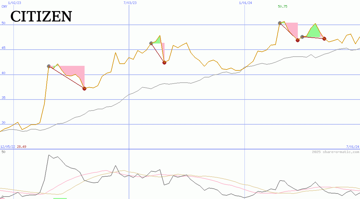 Citizen Holdings Co Ltd