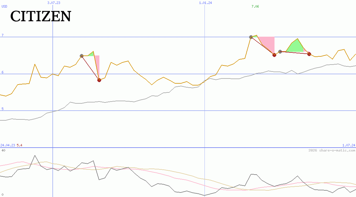 Citizen Holdings Co Ltd