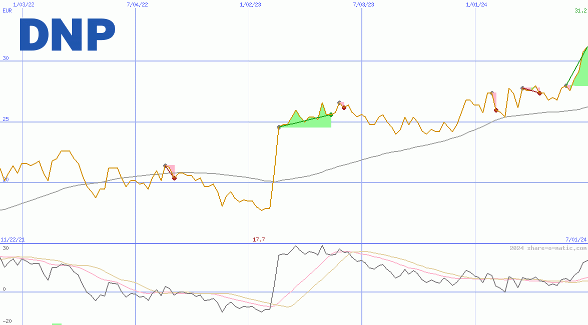 Dai Nippon Printing Co Ltd