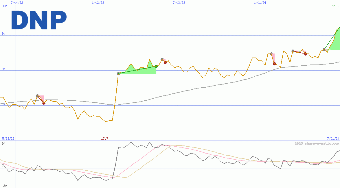 Dai Nippon Printing Co Ltd