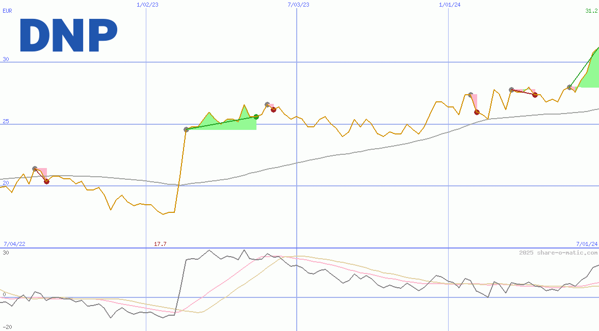 Dai Nippon Printing Co Ltd