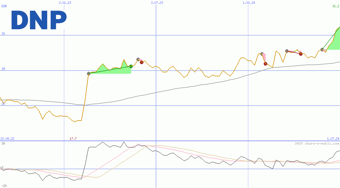Dai Nippon Printing Co Ltd