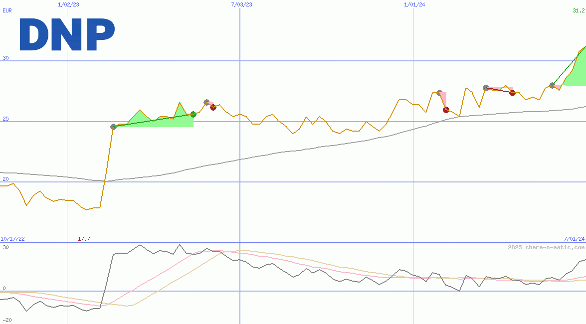 Dai Nippon Printing Co Ltd