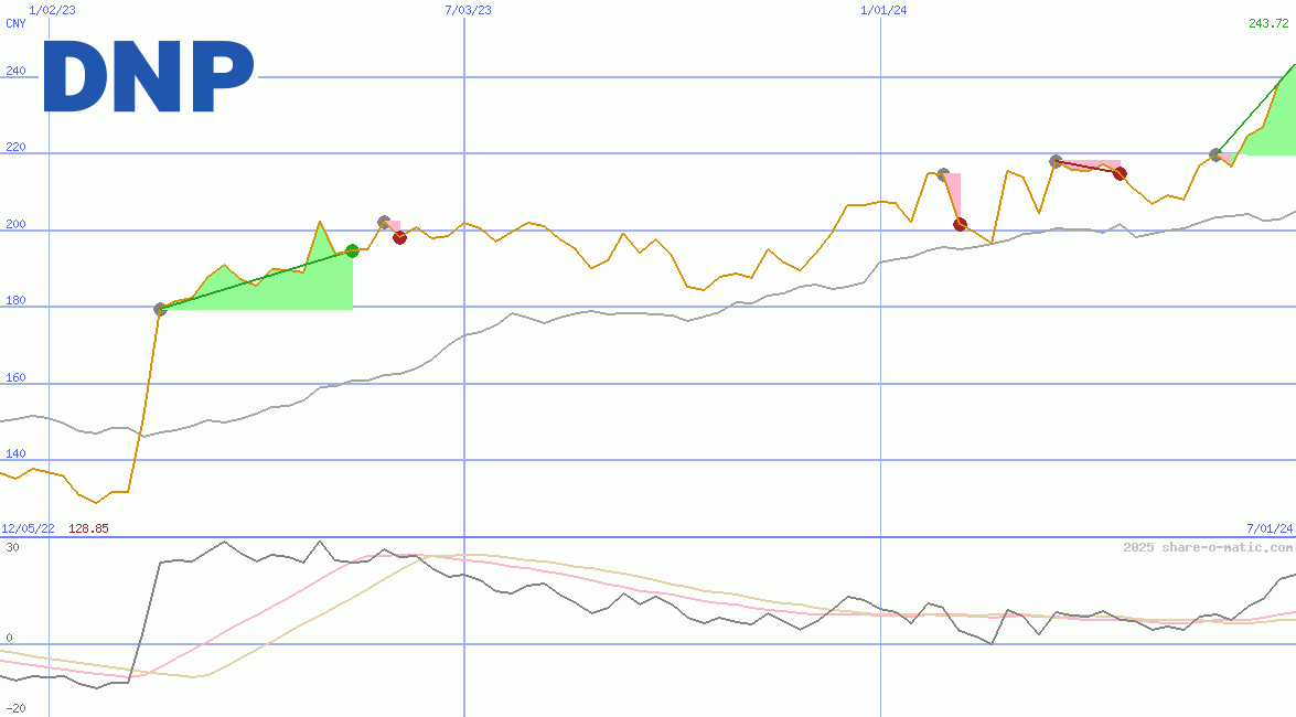 Dai Nippon Printing Co Ltd