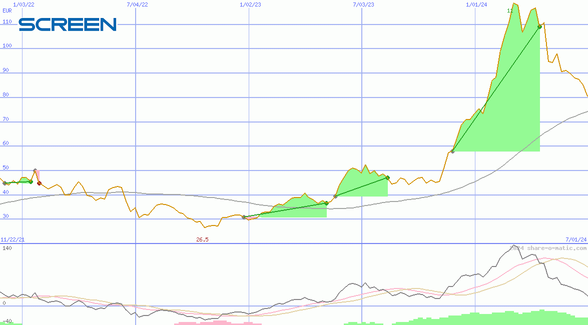 Screen Holdings Co Ltd