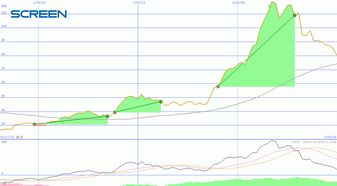 Screen Holdings Co Ltd