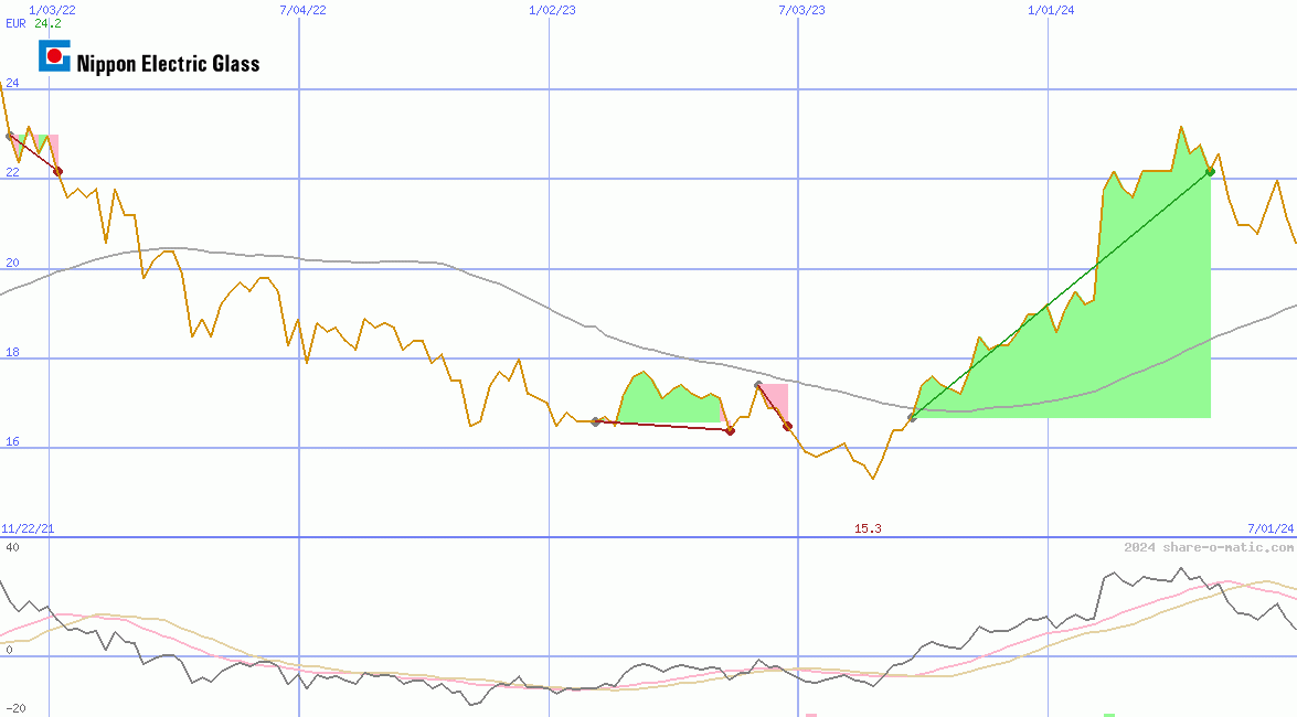 Nippon Electric Glass Co Ltd