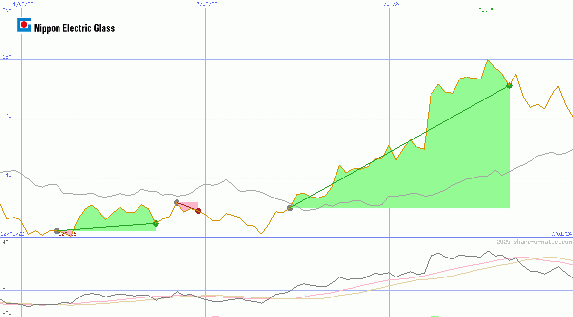Nippon Electric Glass Co Ltd