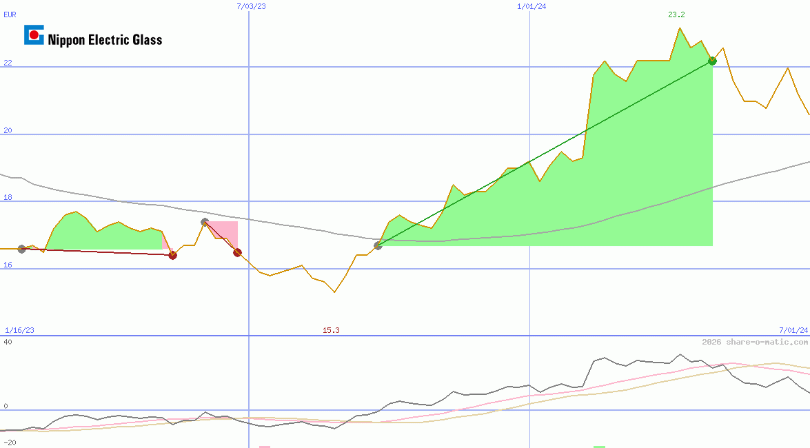 Nippon Electric Glass Co Ltd