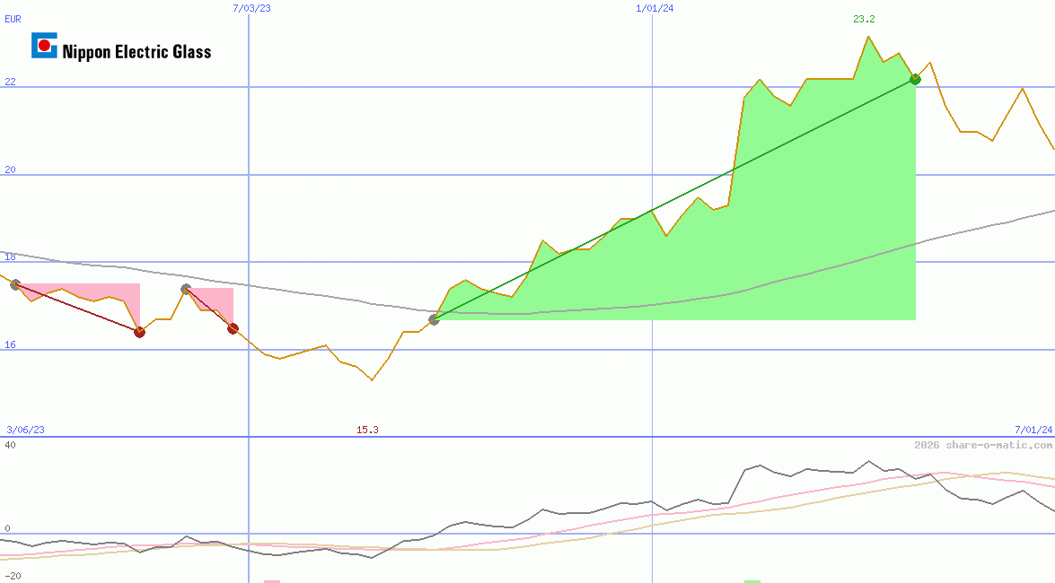 Nippon Electric Glass Co Ltd