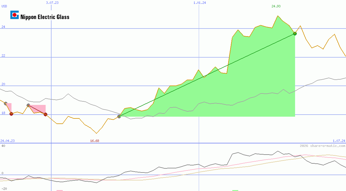 Nippon Electric Glass Co Ltd