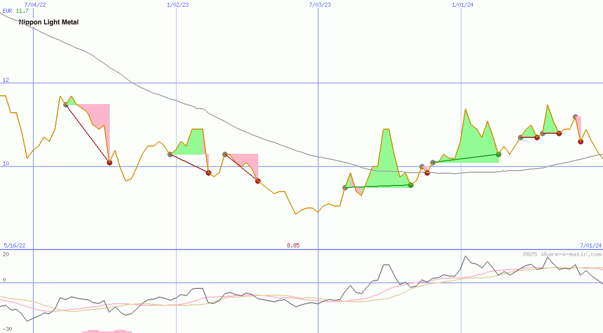Nippon Light Metal Co Ltd