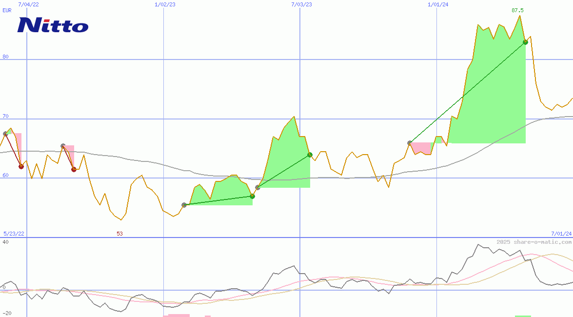 Nitto Denko Corp