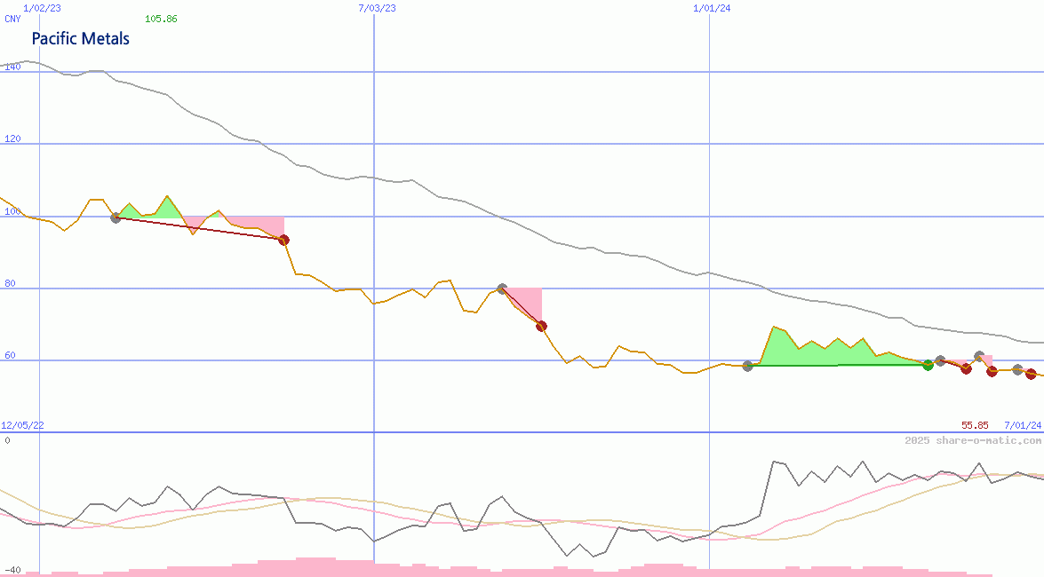 Pacific Metals Co Ltd
