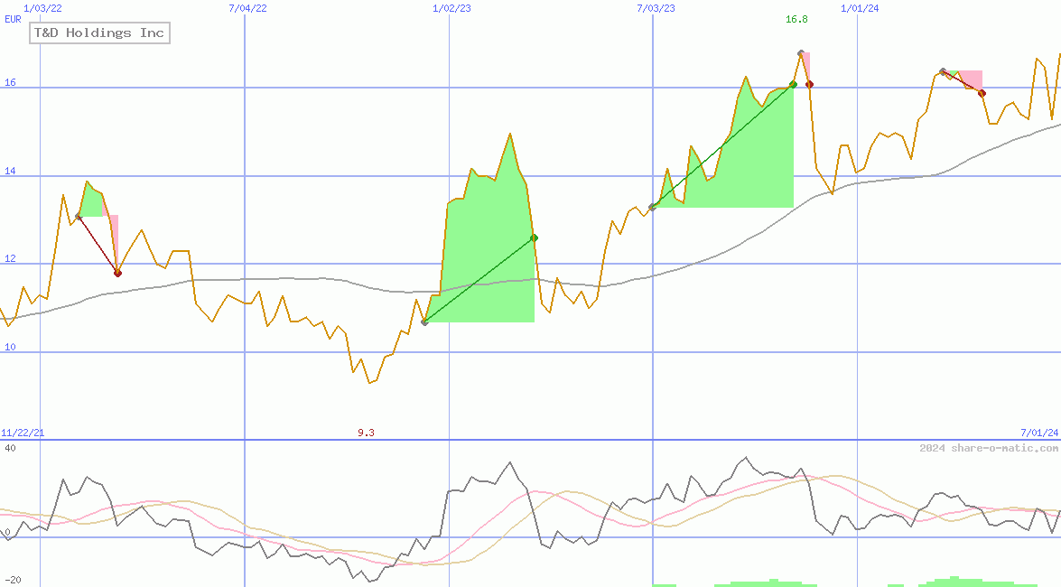 T&D Holdings Inc