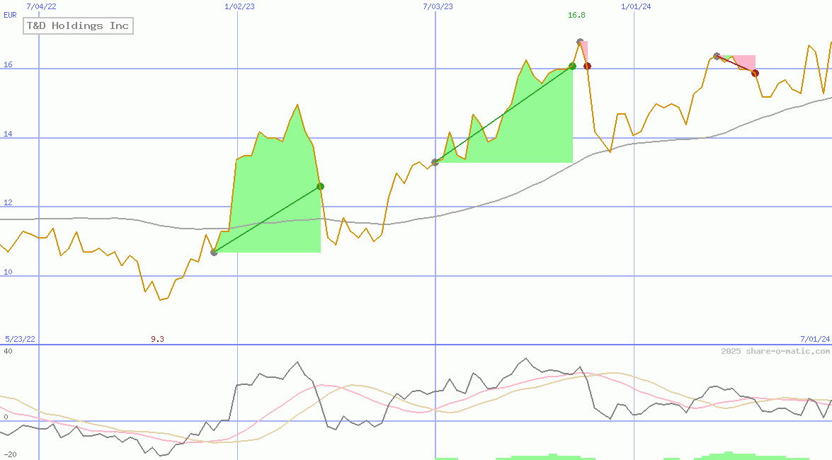 T&D Holdings Inc