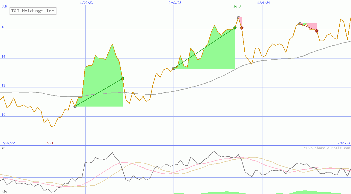 T&D Holdings Inc