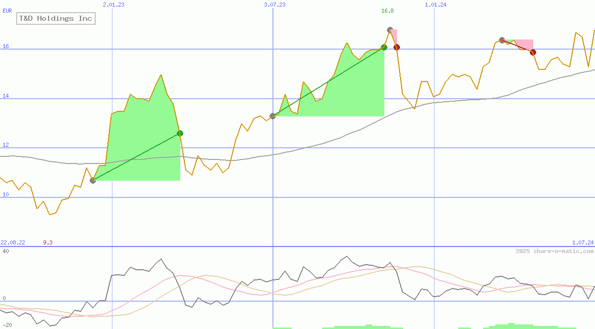 T&D Holdings Inc
